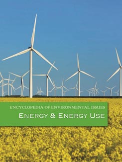 Title details for Encyclopedia of Environmental Issues: Energy & Energy Use  by Craig W Allin - Available